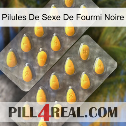 Black Ant Sex Pills cialis2